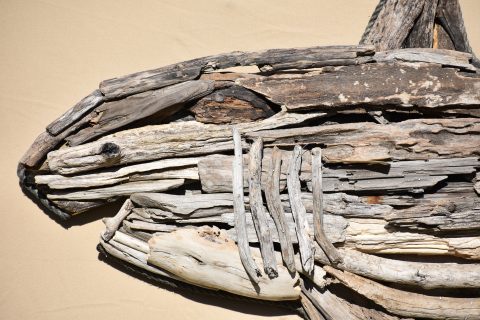 Angling Artists: Andy Matthews