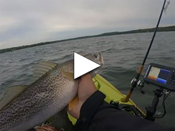 Early Season Kayak Weakfish