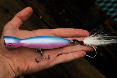 modified bottleneck popper