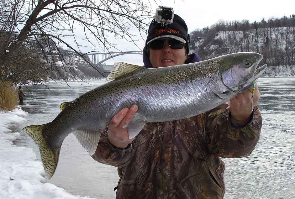 Mike Rzucidlo steelhead