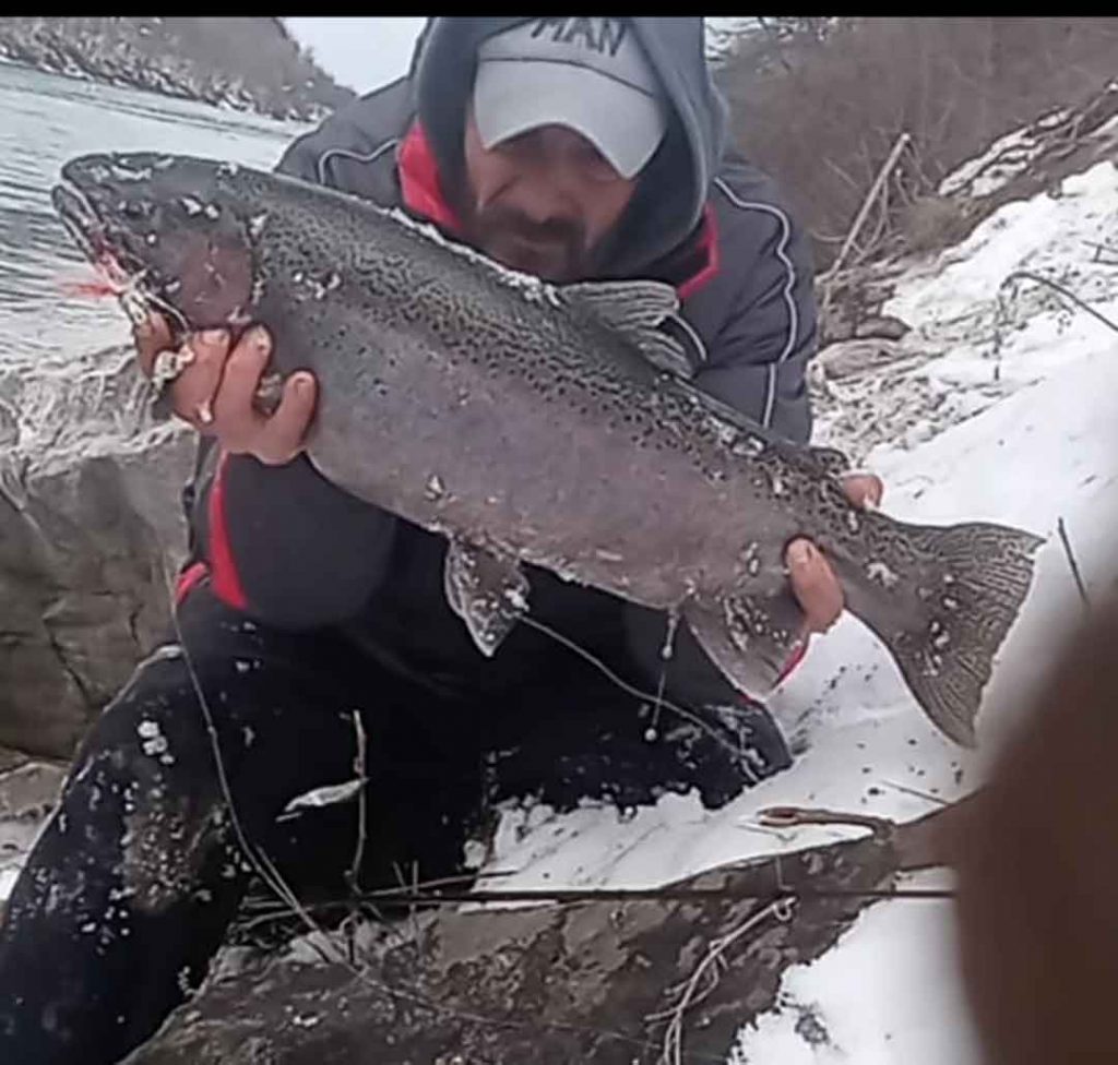 Mike Ziehm steelhead