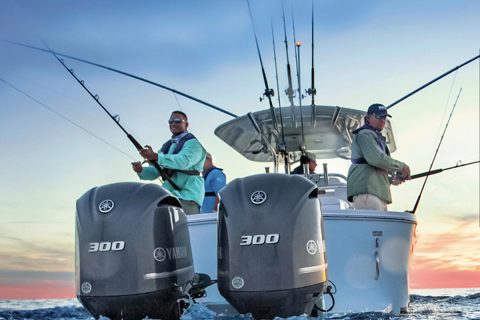 Premier Yamaha Dealers