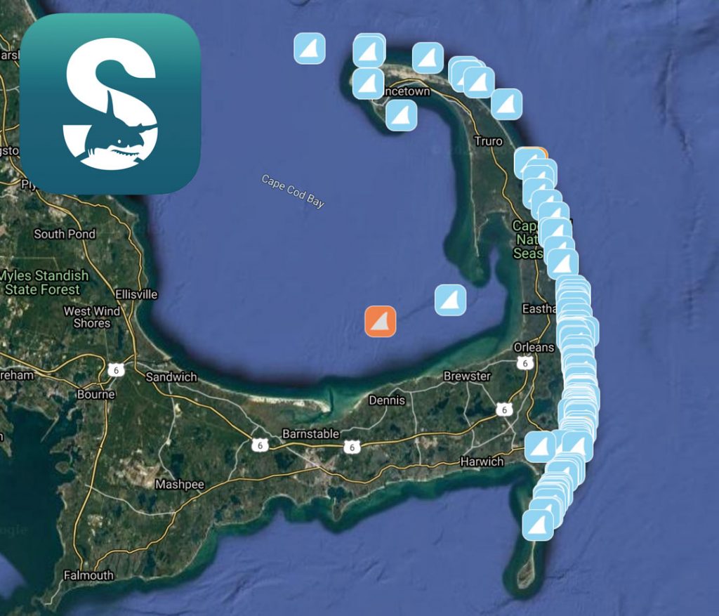 AWSC Sharktivity smartphone app