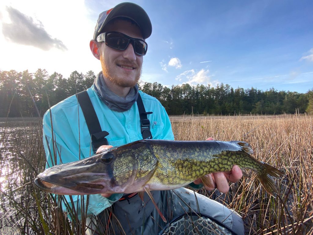 Pete Scharf pickerel