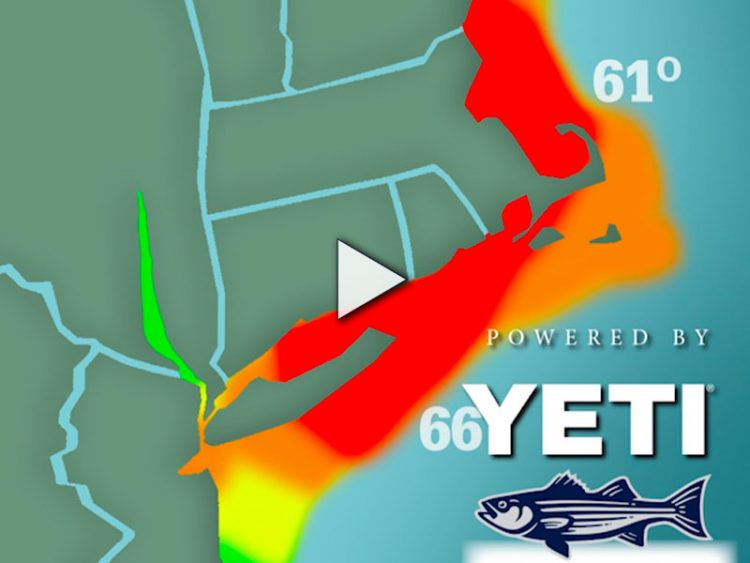 2021 Striper Migration Map Recap