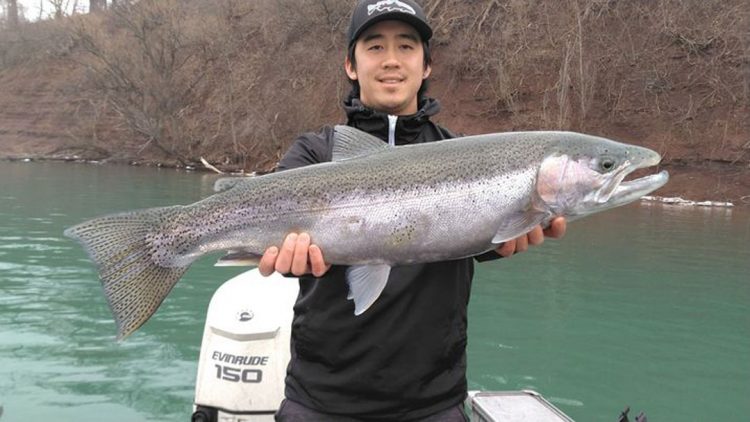 Gary Huang steelhead