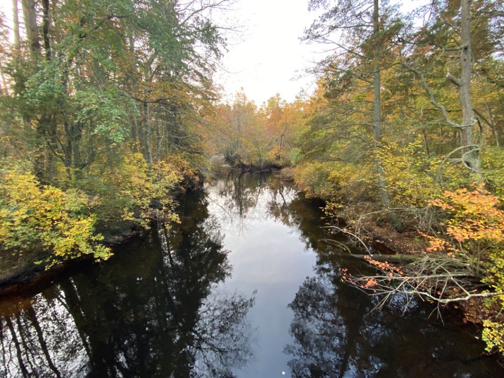 Pine Barrens creek