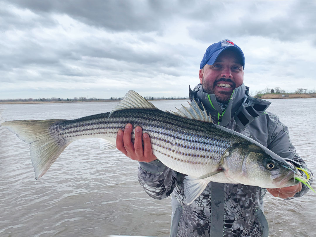 Raritan Bay striped bass