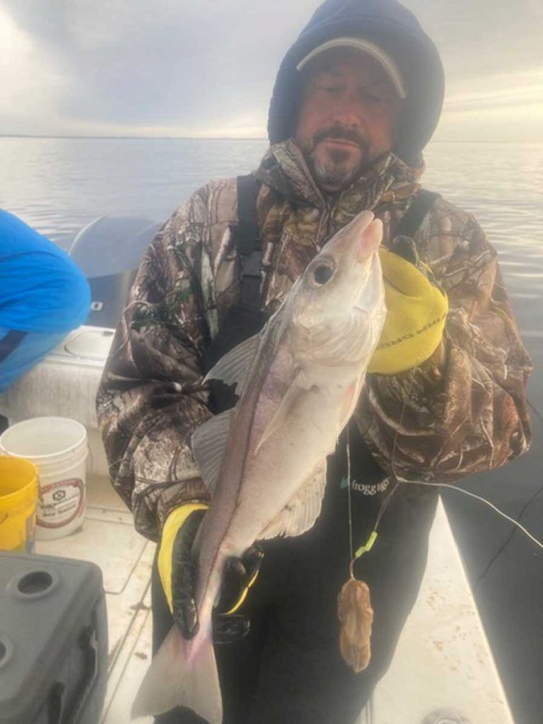 John D Silva haddock