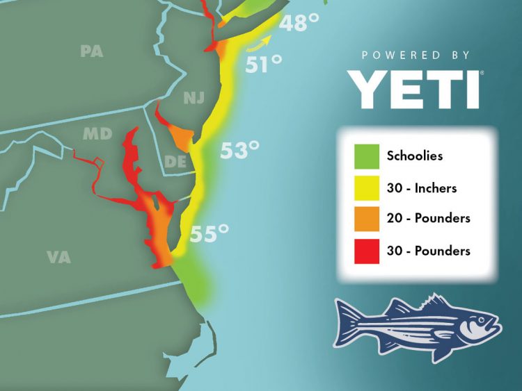 StriperMigrationMap2022-4-29-ftrd