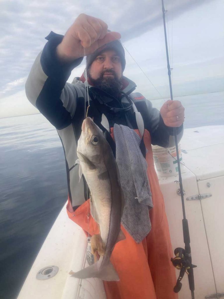 ndy Nabreski haddock