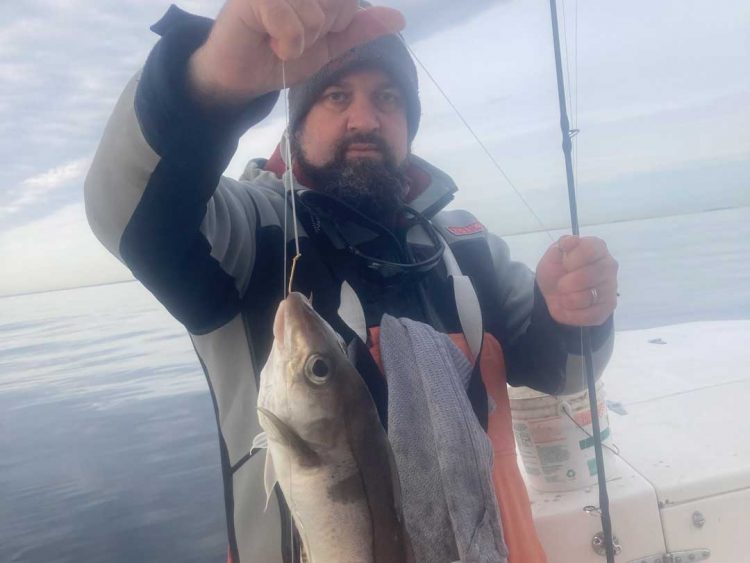 ndy Nabreski haddock