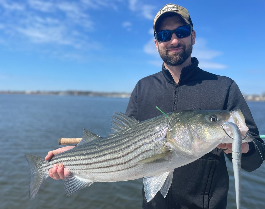 Reel Cast Charters striped bass