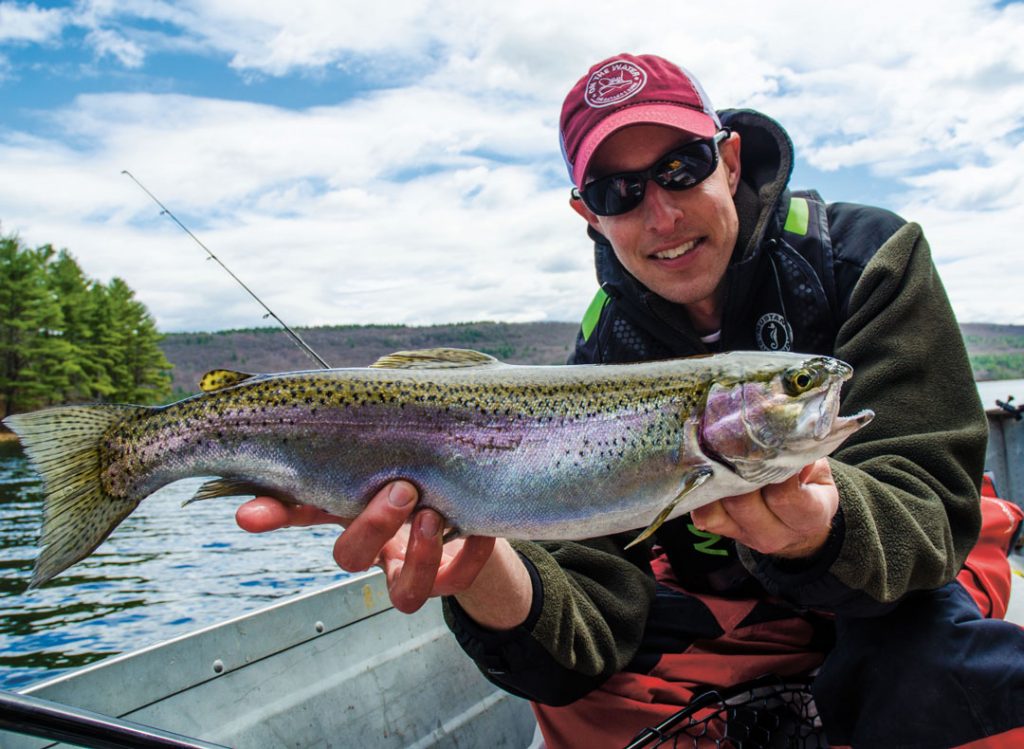 rainbow trout