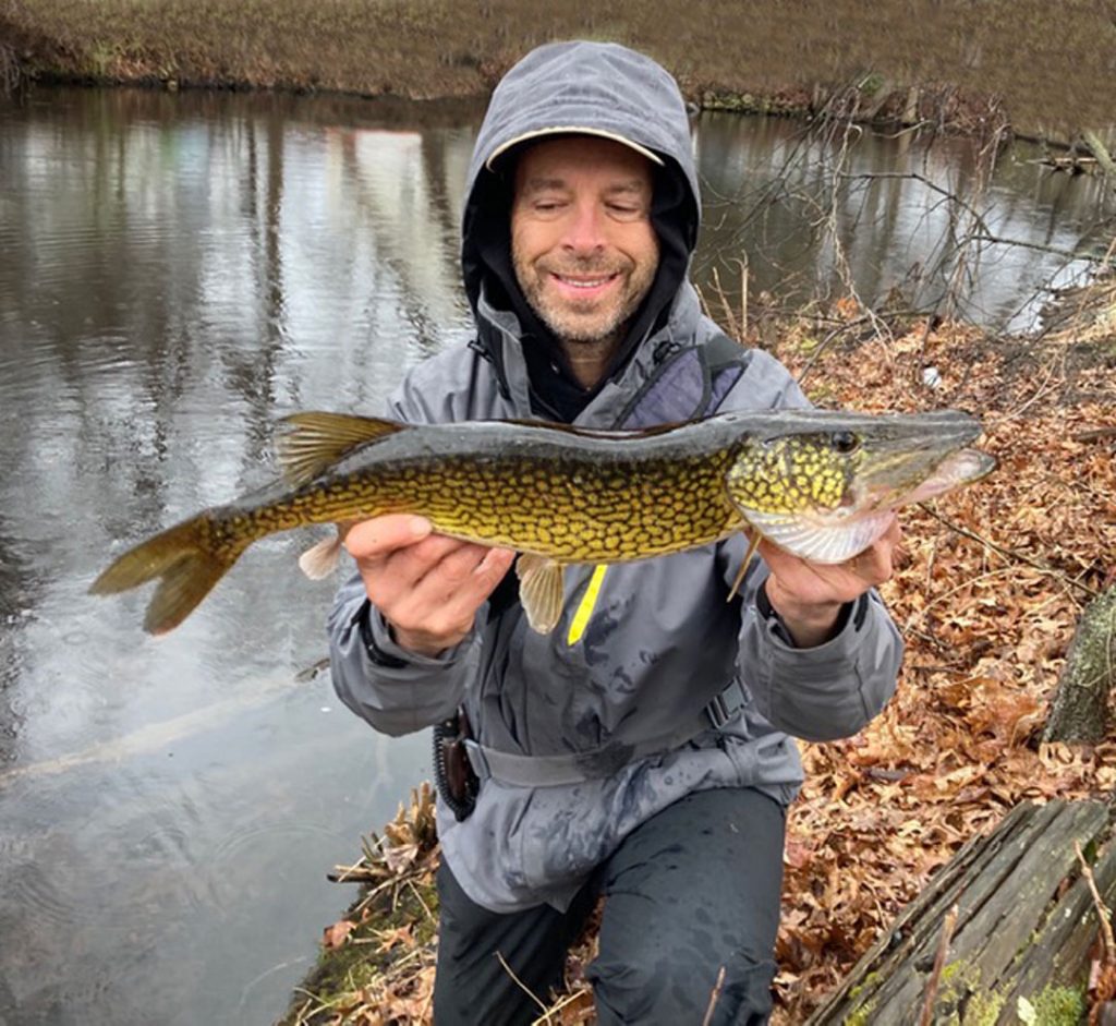 Ron's big pickerel