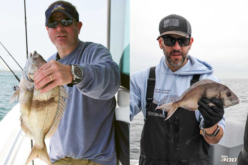 porgies in Peconic Bay