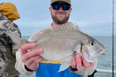 One of the Northeast’s Most Abundant Bottom Fish gets Rebranded