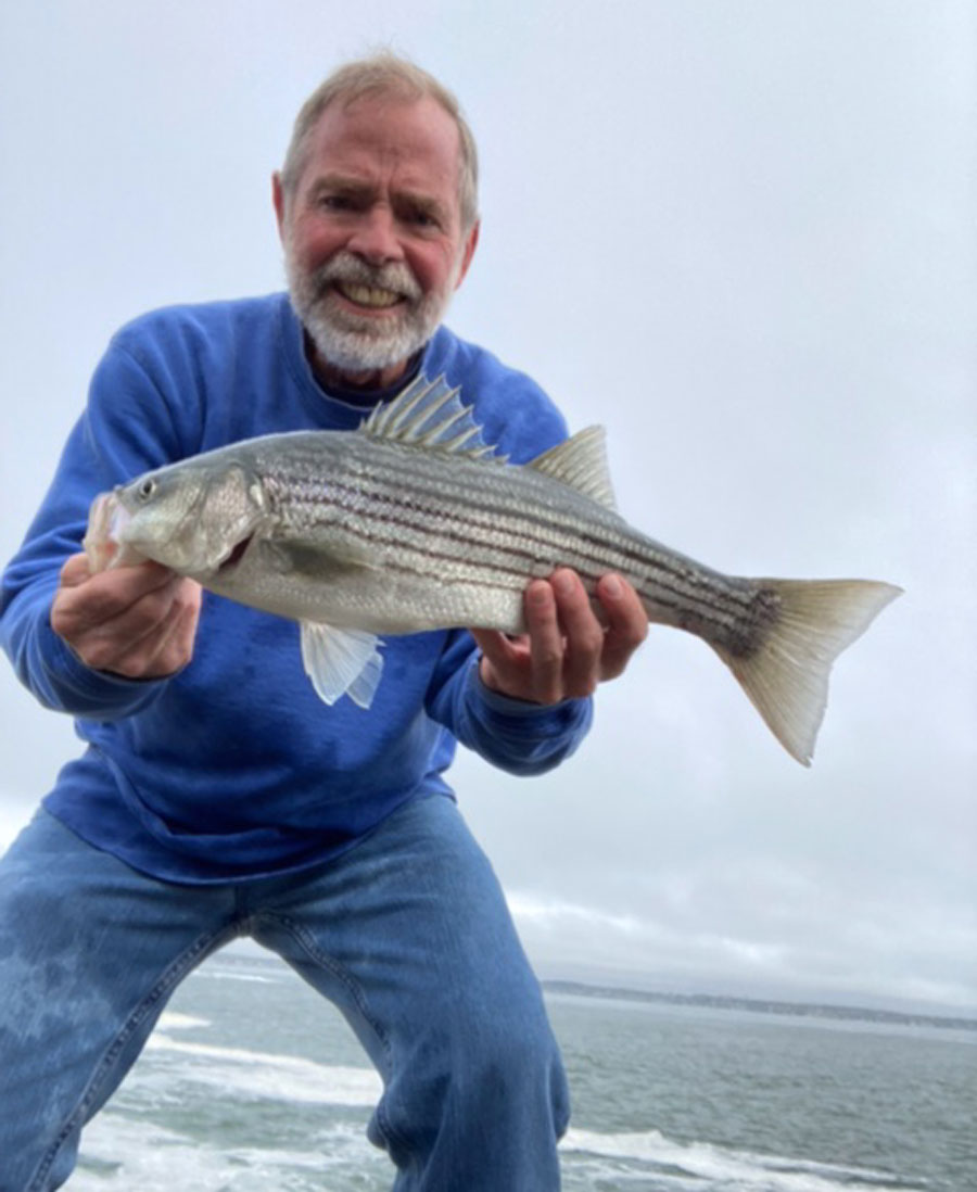 schoolie striped bass