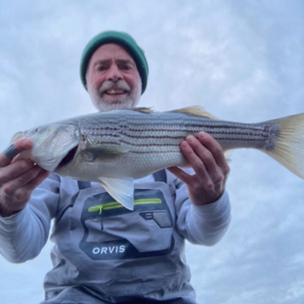 Dave Flaherty schoolie