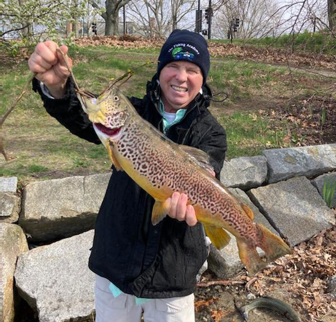 trophy brown trout