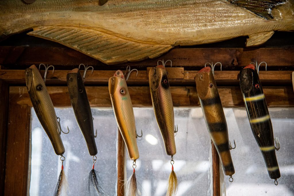 Soldati darters