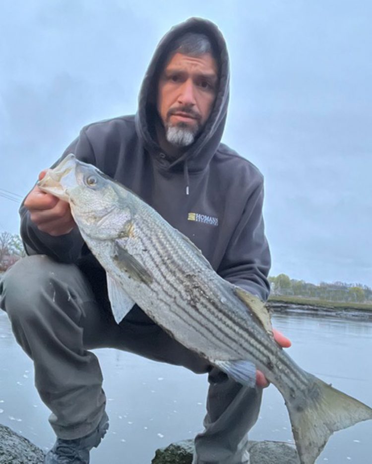 Steve DeVincent schoolie