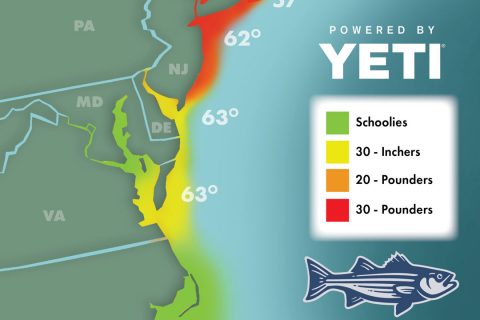 Striper Migration Map