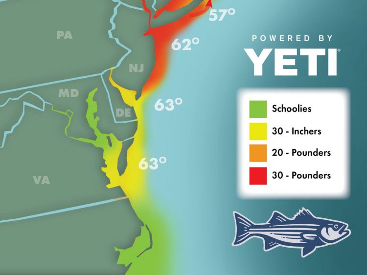 Striper Migration Map
