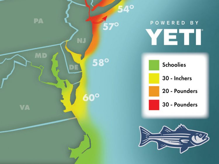 Striper Migration Map