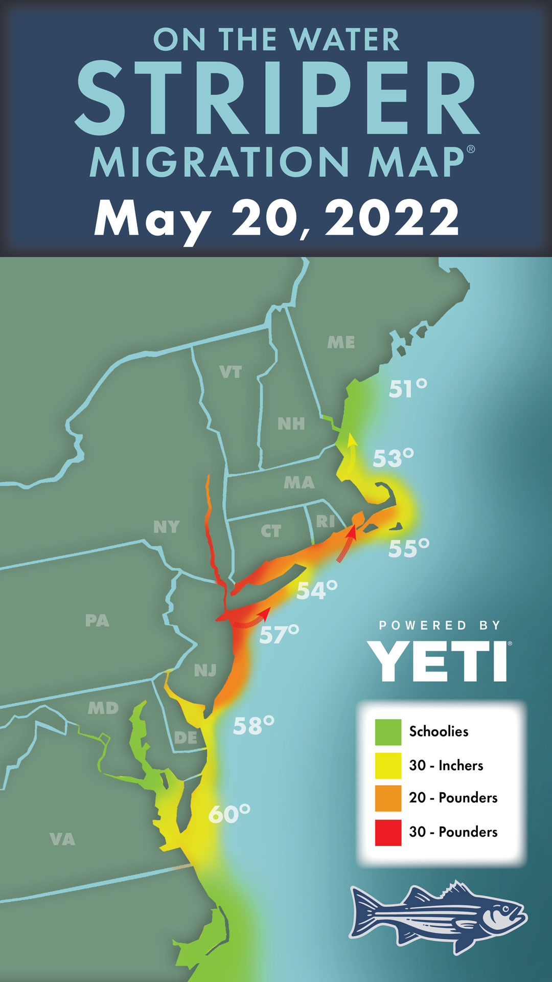 Striper Migration Map