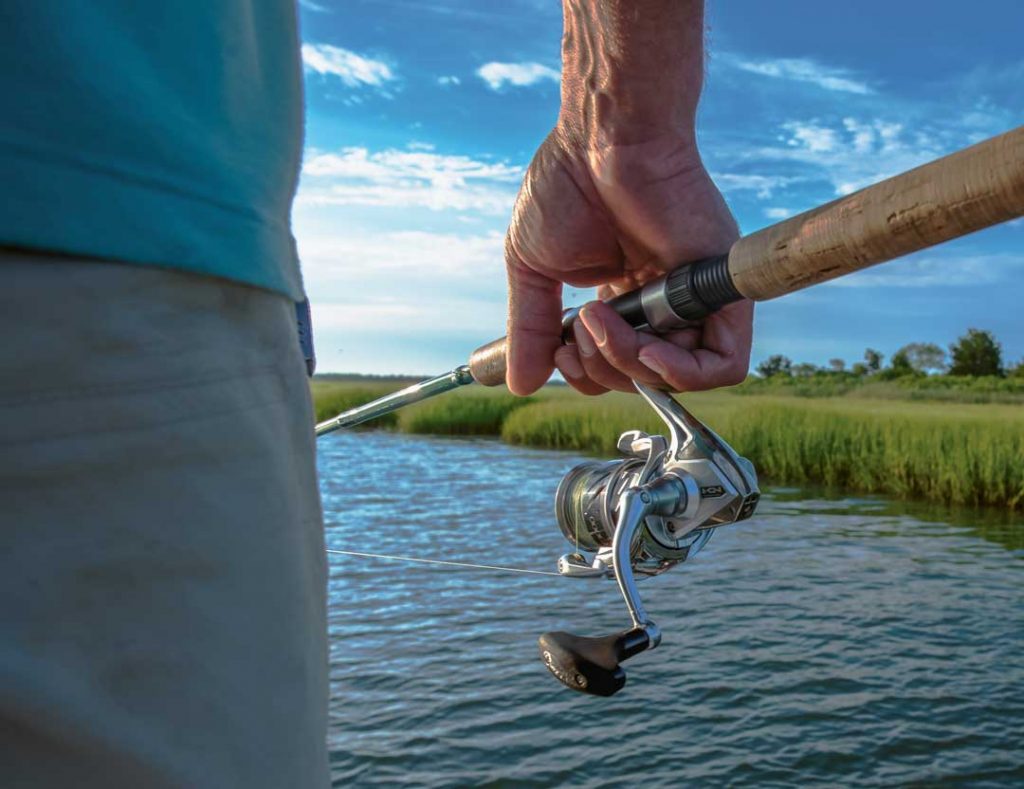 backbay topwater setup