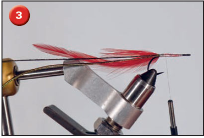 cinder worm fly tie step 3