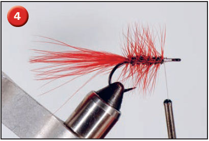 cinder worm fly tie step 4