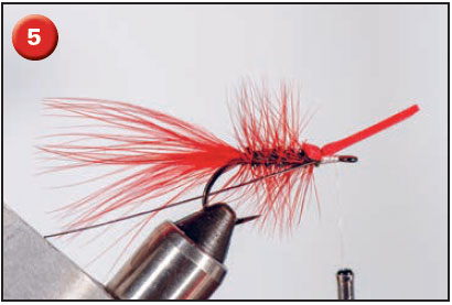 cinder worm fly tie step 5