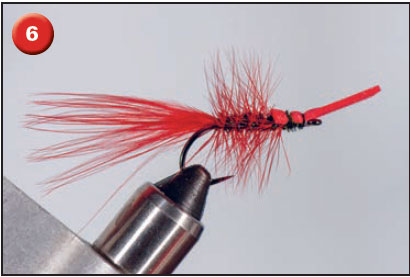 cinder worm fly tie step 6