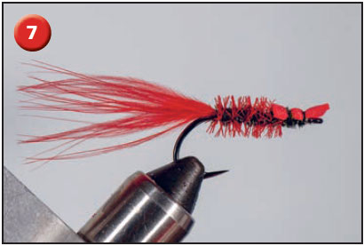 cinder worm fly tie step 7