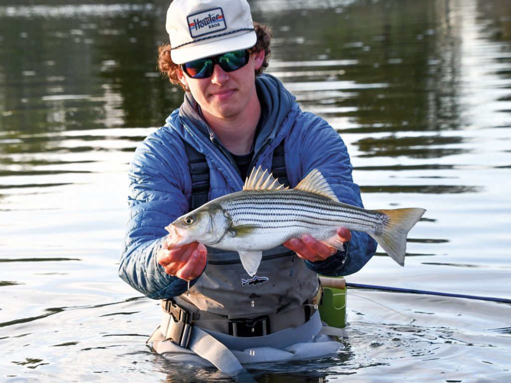 spring schoolie