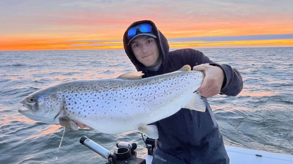 David Thomas brown trout