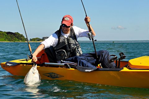 fluke from Hobie kayak