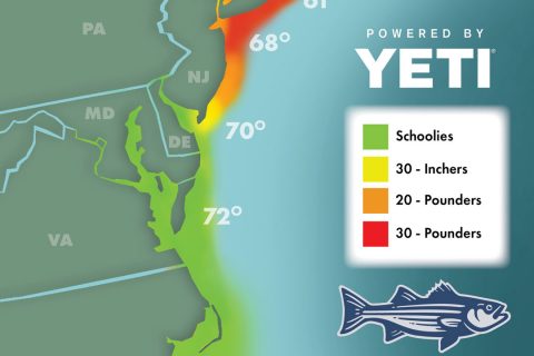 Striper Migration Map &ndash; June 10, 2022