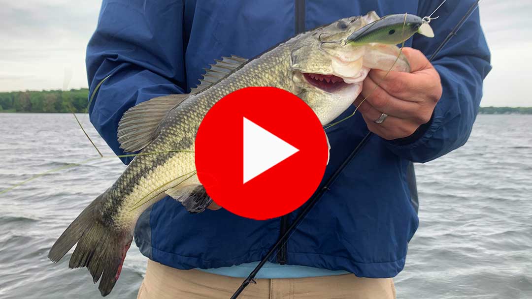 Spring fishing video