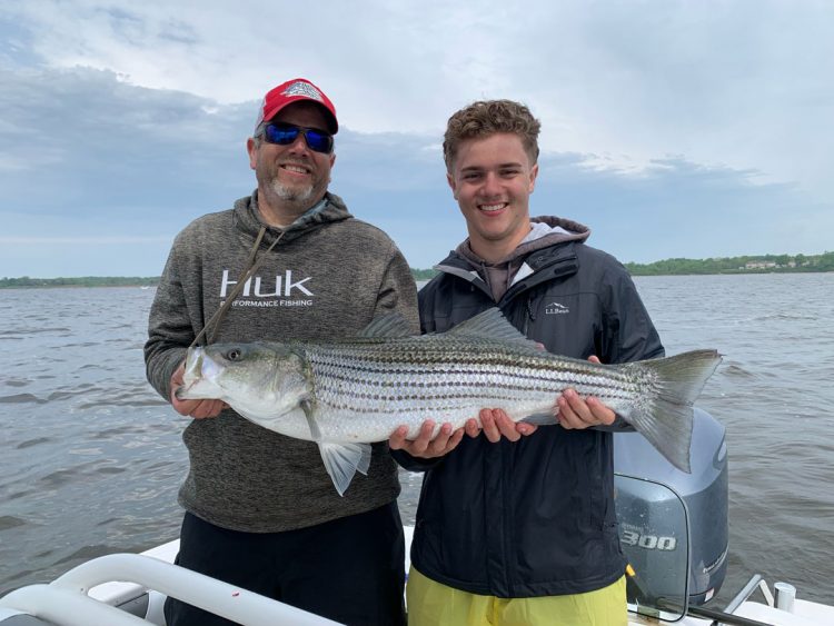 SC Week 3 David Nevil