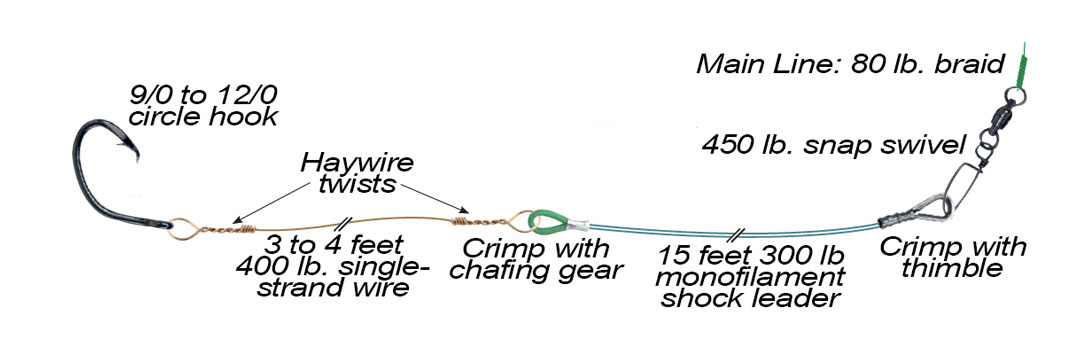Spinning gear shark rig