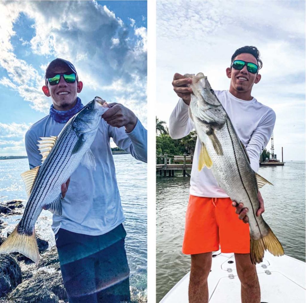 striper and snook