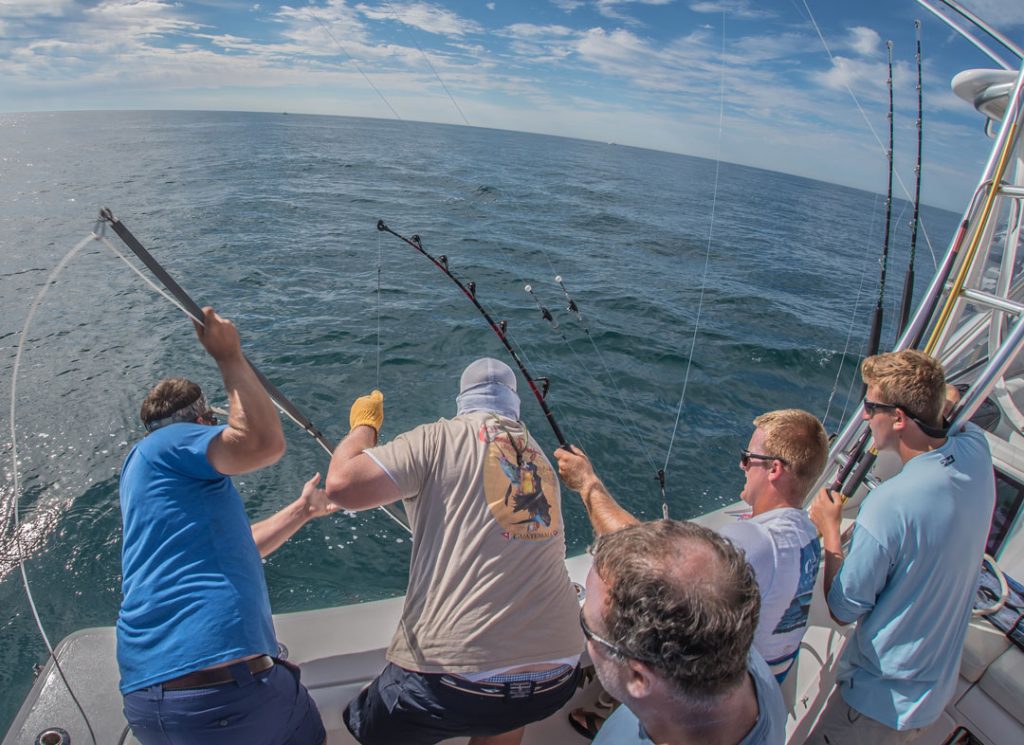 crew harpooning bluefin