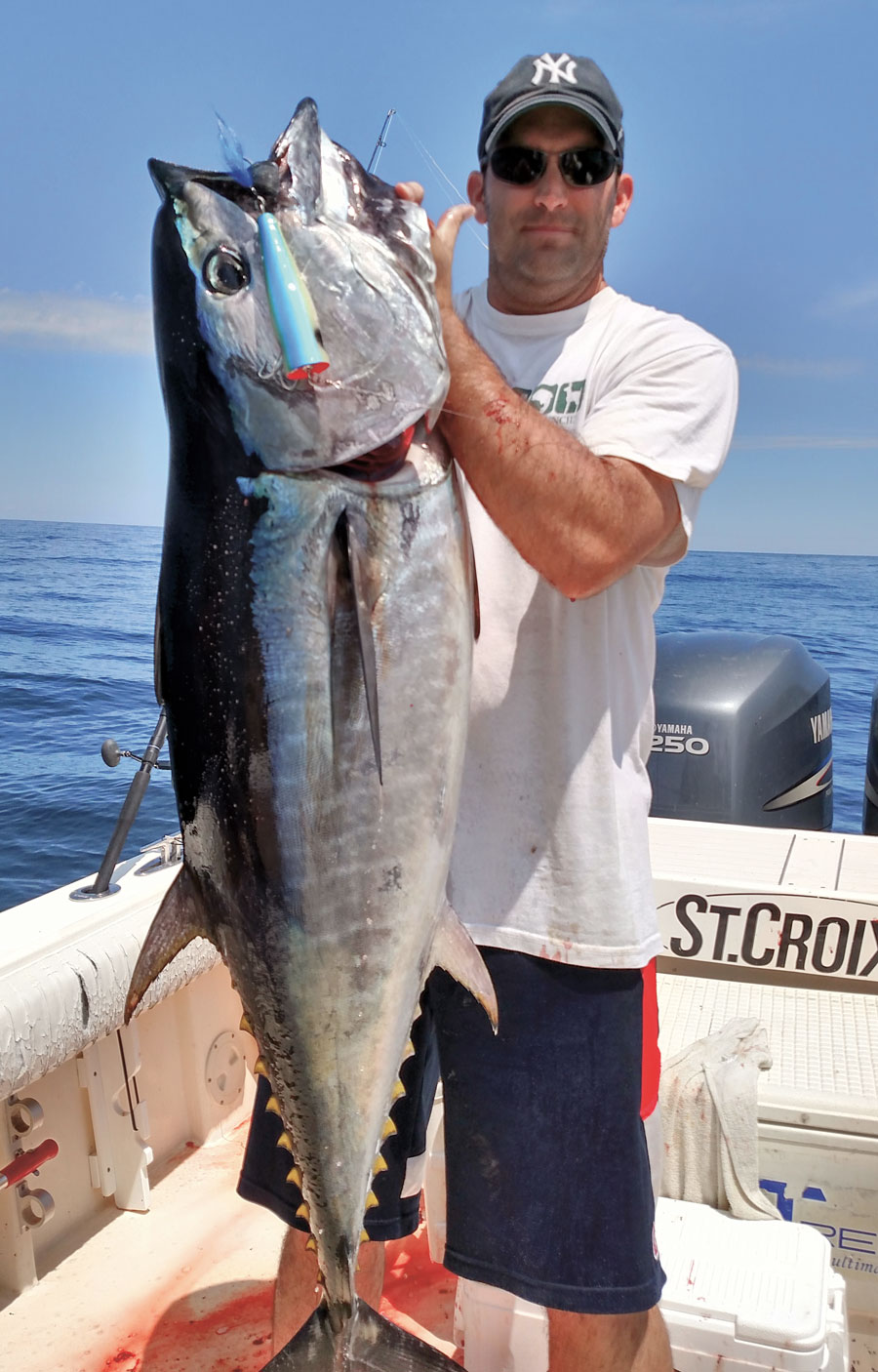 NJ bluefin