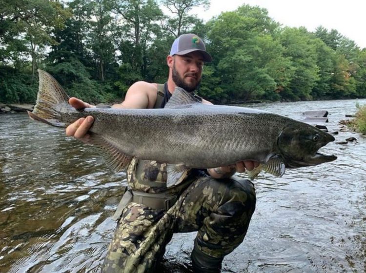 Brande Schmeltz king salmon