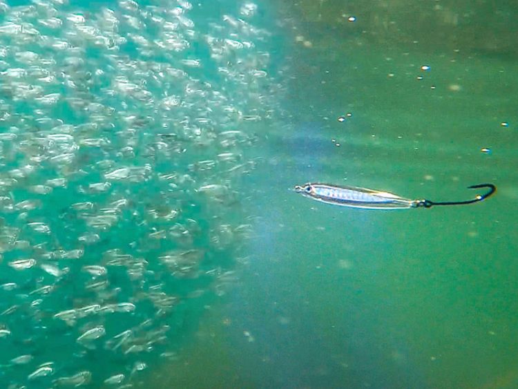 Joe Baggs Epoxy Style Jigs