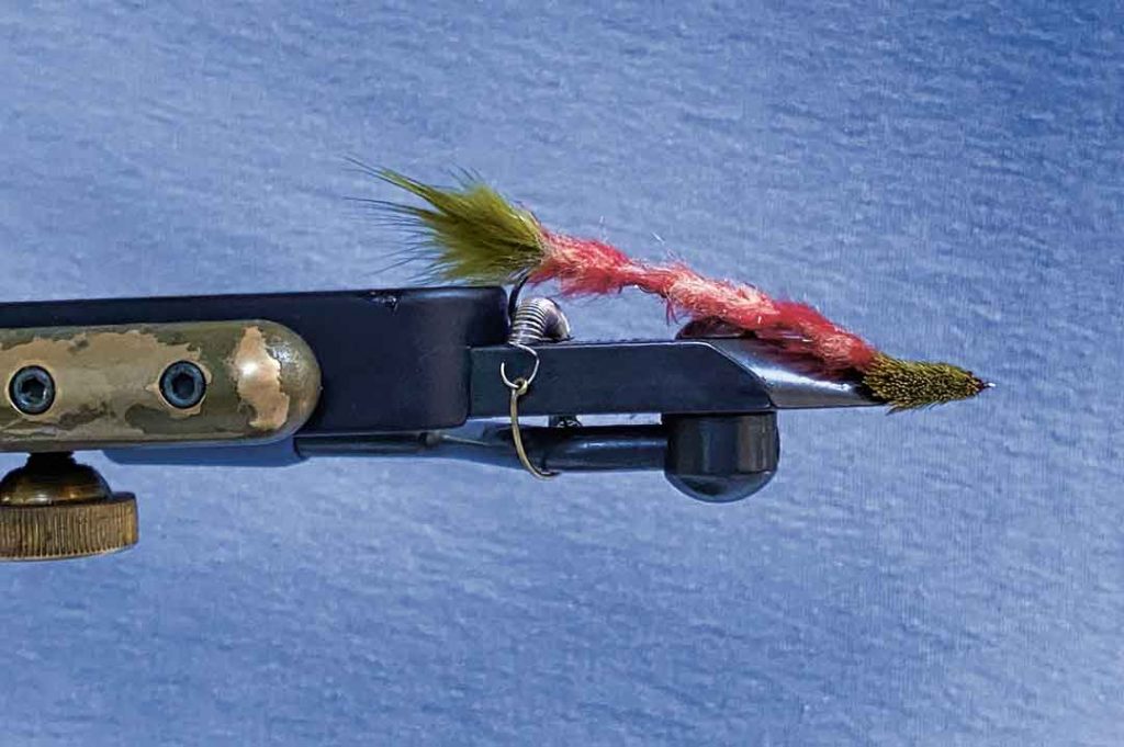 Cascone&rsquo;s Worm in vice