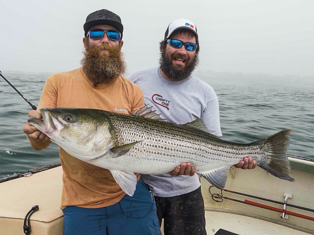 Newport striper
